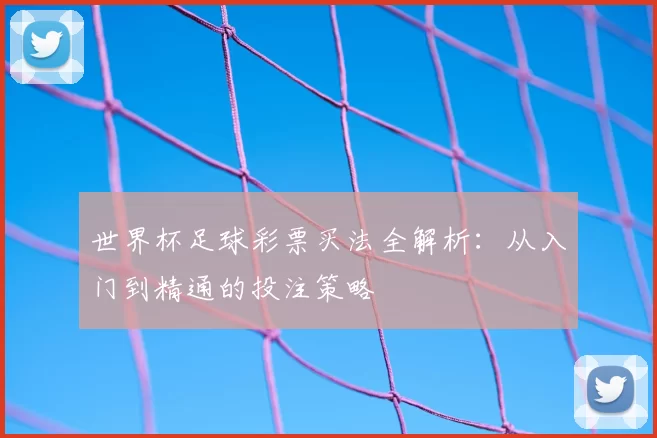 世界杯足球彩票买法全解析：从入门到精通的投注策略