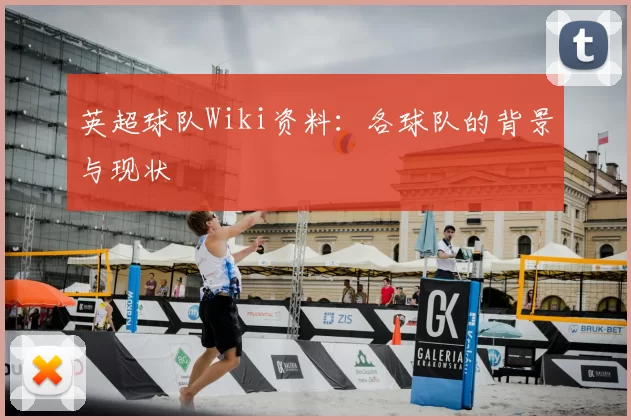 英超球队Wiki资料：各球队的背景与现状