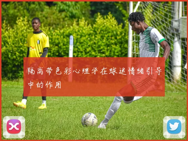 隔离带色彩心理学在球迷情绪引导中的作用
