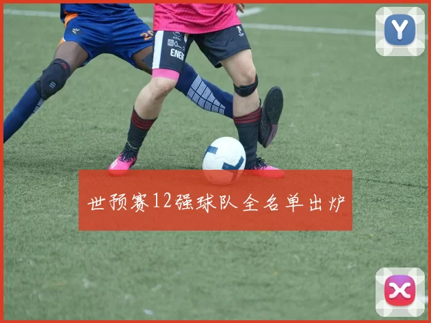 世预赛12强球队全名单出炉