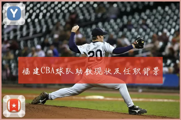 福建CBA球队助教现状及任职背景