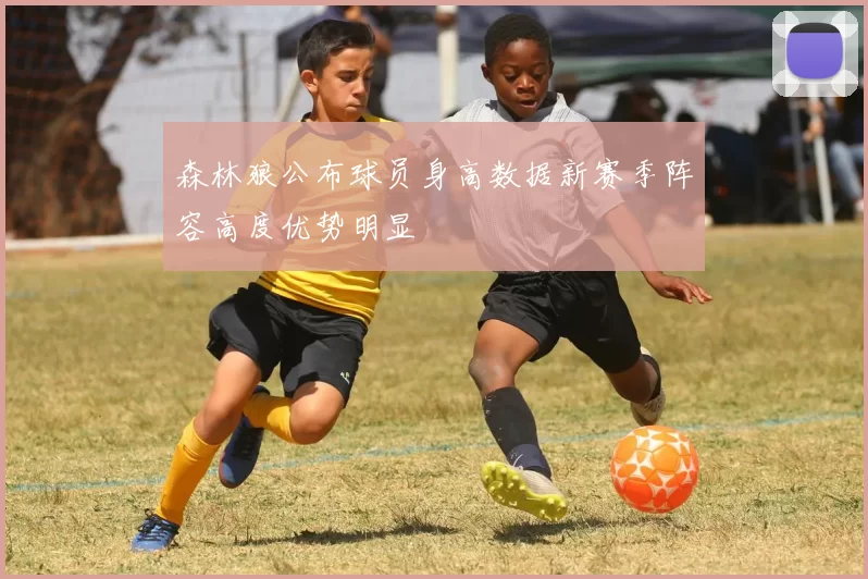 森林狼公布球员身高数据新赛季阵容高度优势明显