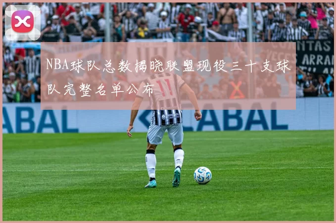 NBA球队总数揭晓联盟现役三十支球队完整名单公布