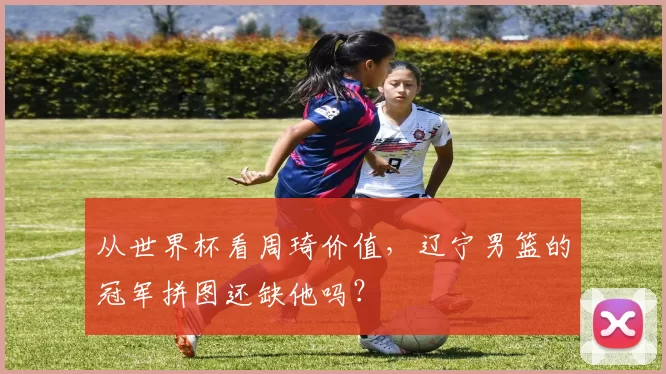 从世界杯看周琦价值,辽宁男篮的冠军拼图还缺他吗?