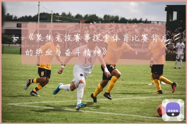 《聚焦竞技赛事探索体育比赛背后的热血与奋斗精神》