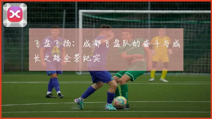 飞盘飞扬：成都飞盘队的奋斗与成长之路全景纪实