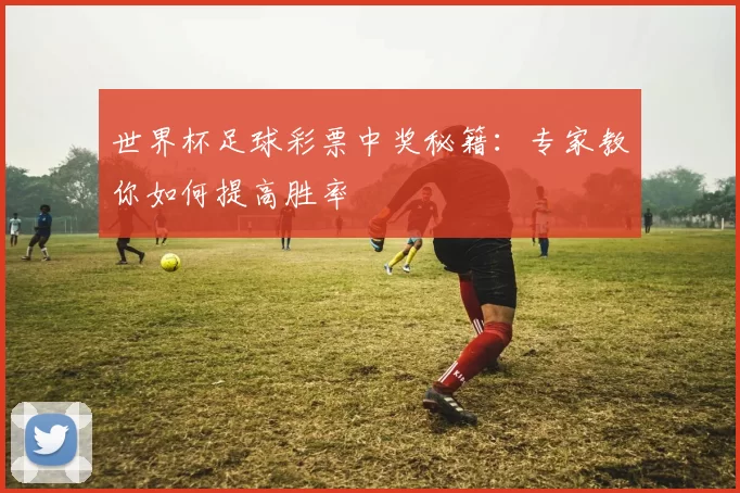 世界杯足球彩票中奖秘籍:专家教你如何提高胜率