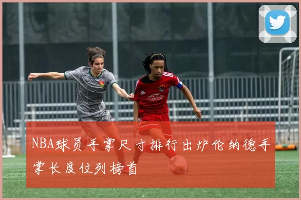 NBA球员手掌尺寸排行出炉伦纳德手掌长度位列榜首