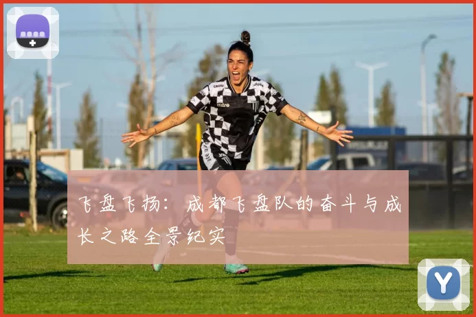飞盘飞扬：成都飞盘队的奋斗与成长之路全景纪实