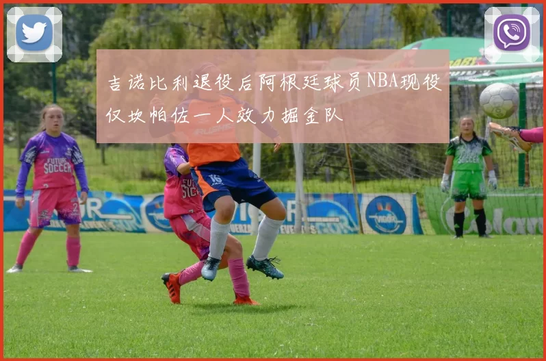 吉诺比利退役后阿根廷球员NBA现役仅坎帕佐一人效力掘金队