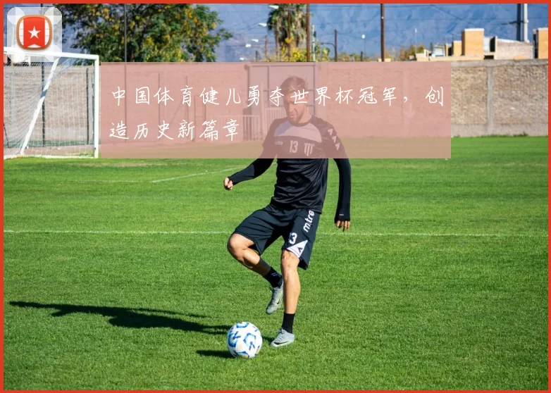 中国体育健儿勇夺世界杯冠军,创造历史新篇章