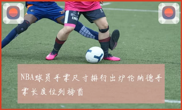 NBA球员手掌尺寸排行出炉伦纳德手掌长度位列榜首